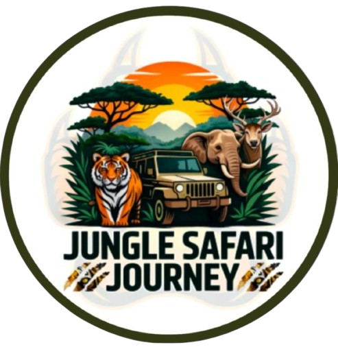 Jungle Safari Journey